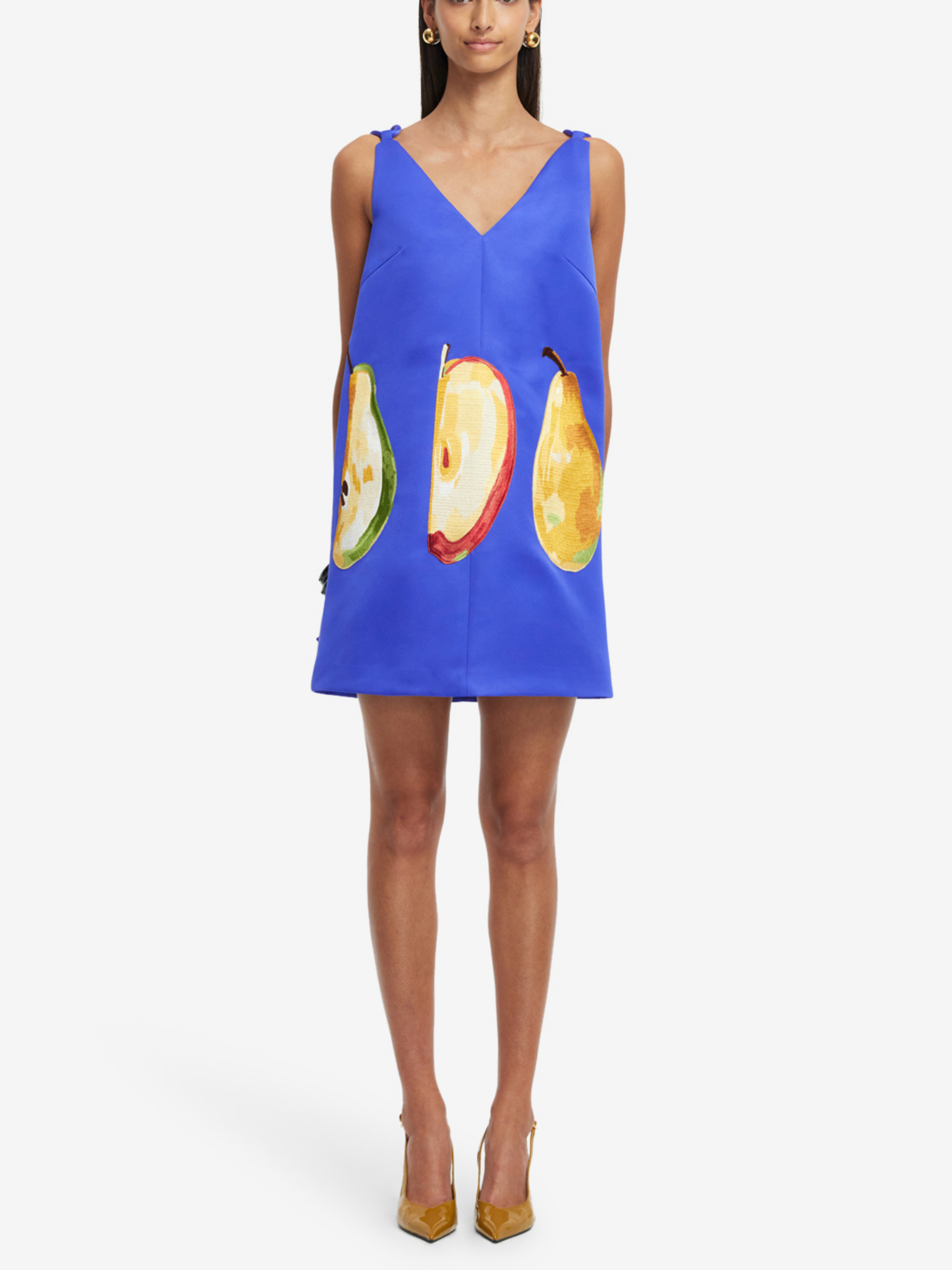 Taylor Embroidered Mini Dress