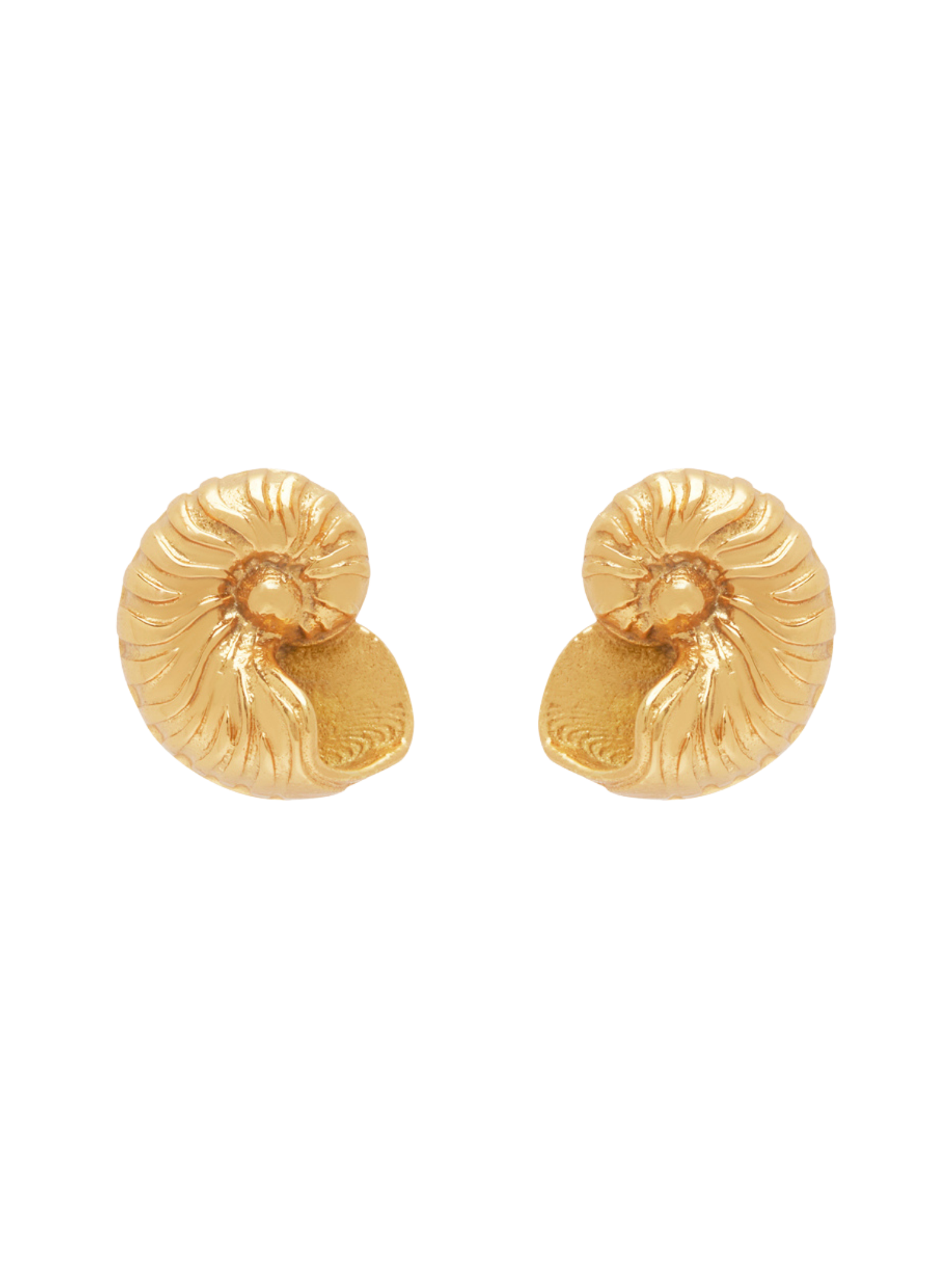 Reverie Nautilus Shell Studs