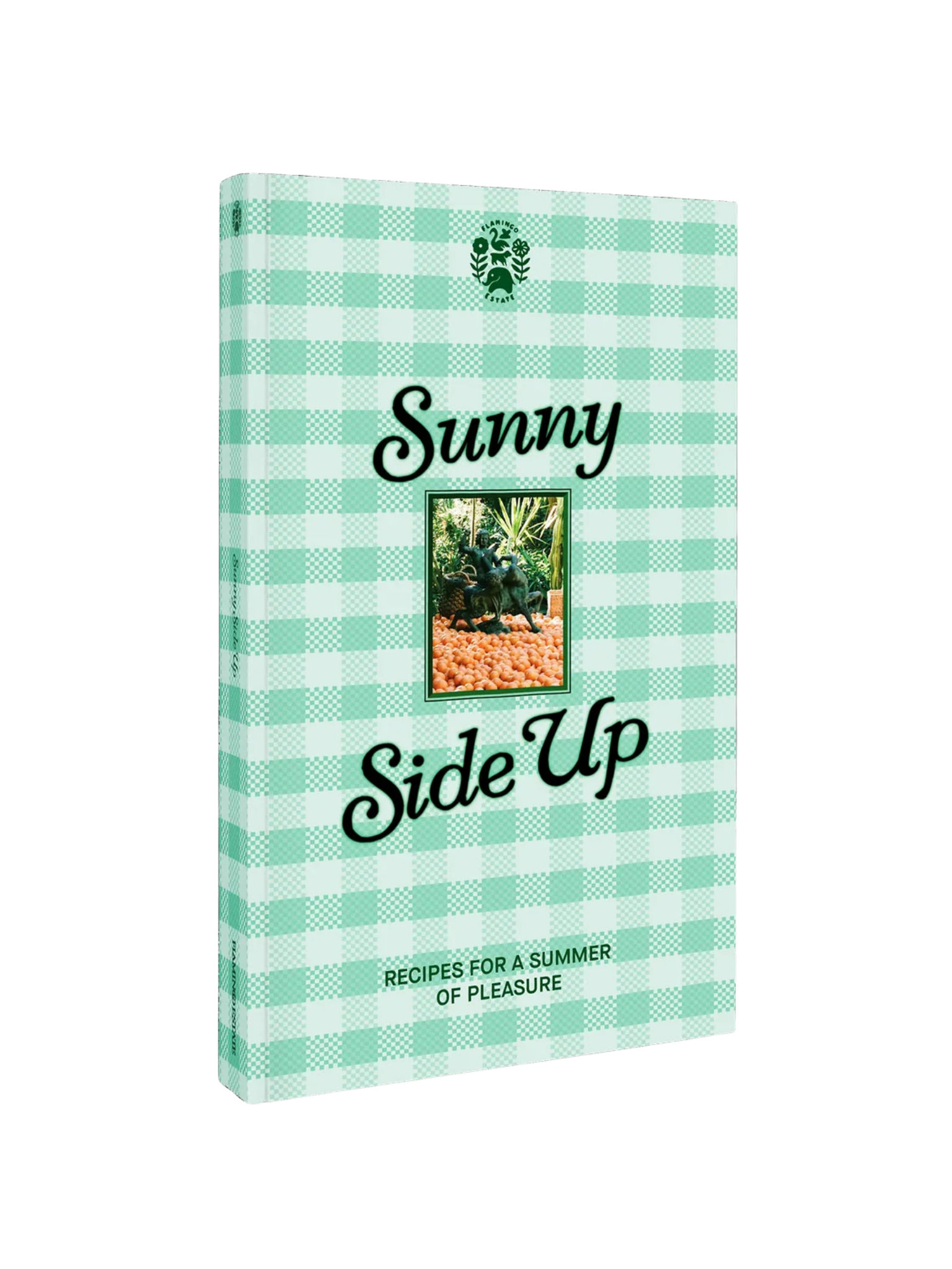 Sunny Side Up Recipe Book