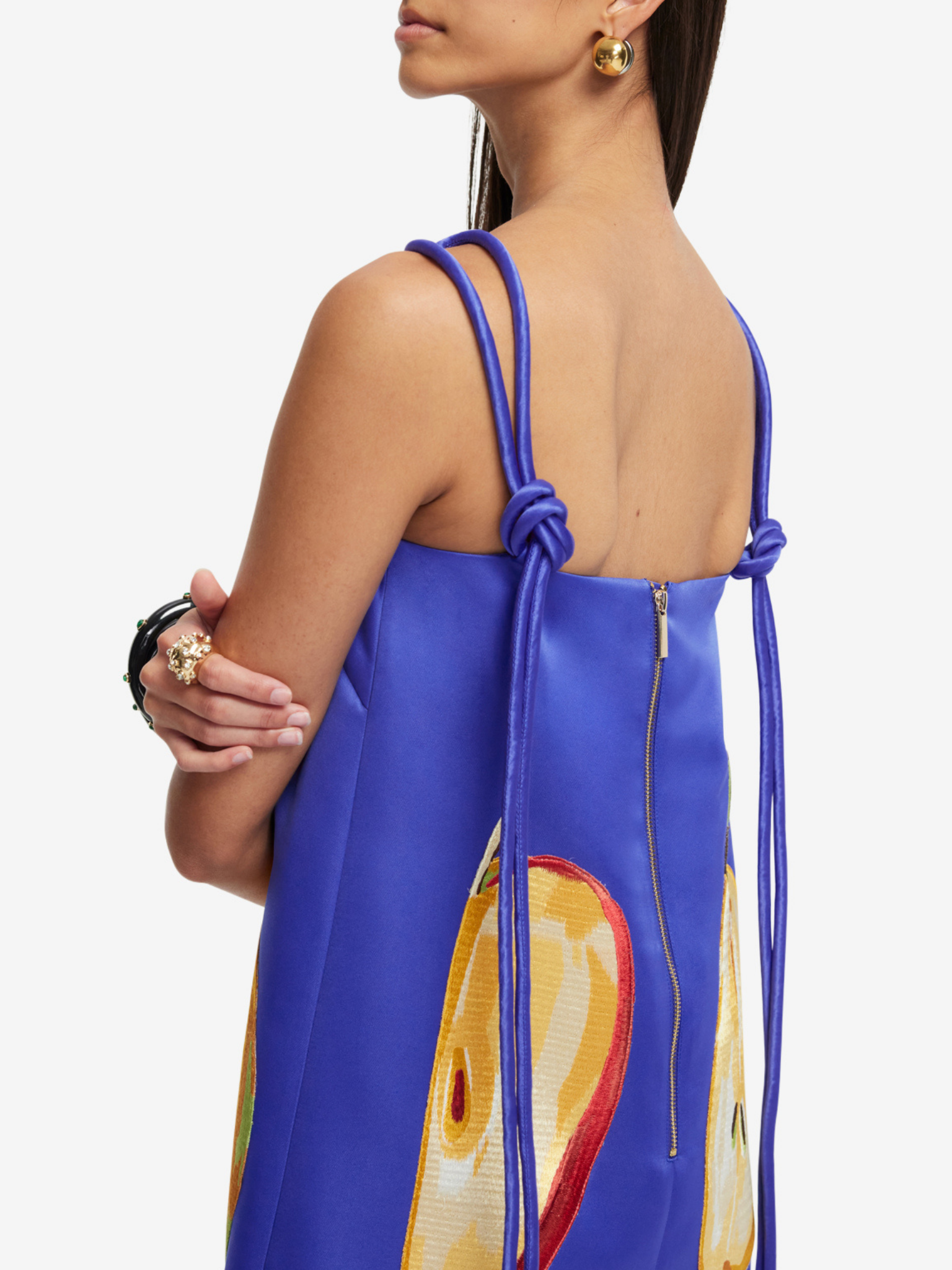 Taylor Embroidered Mini Dress