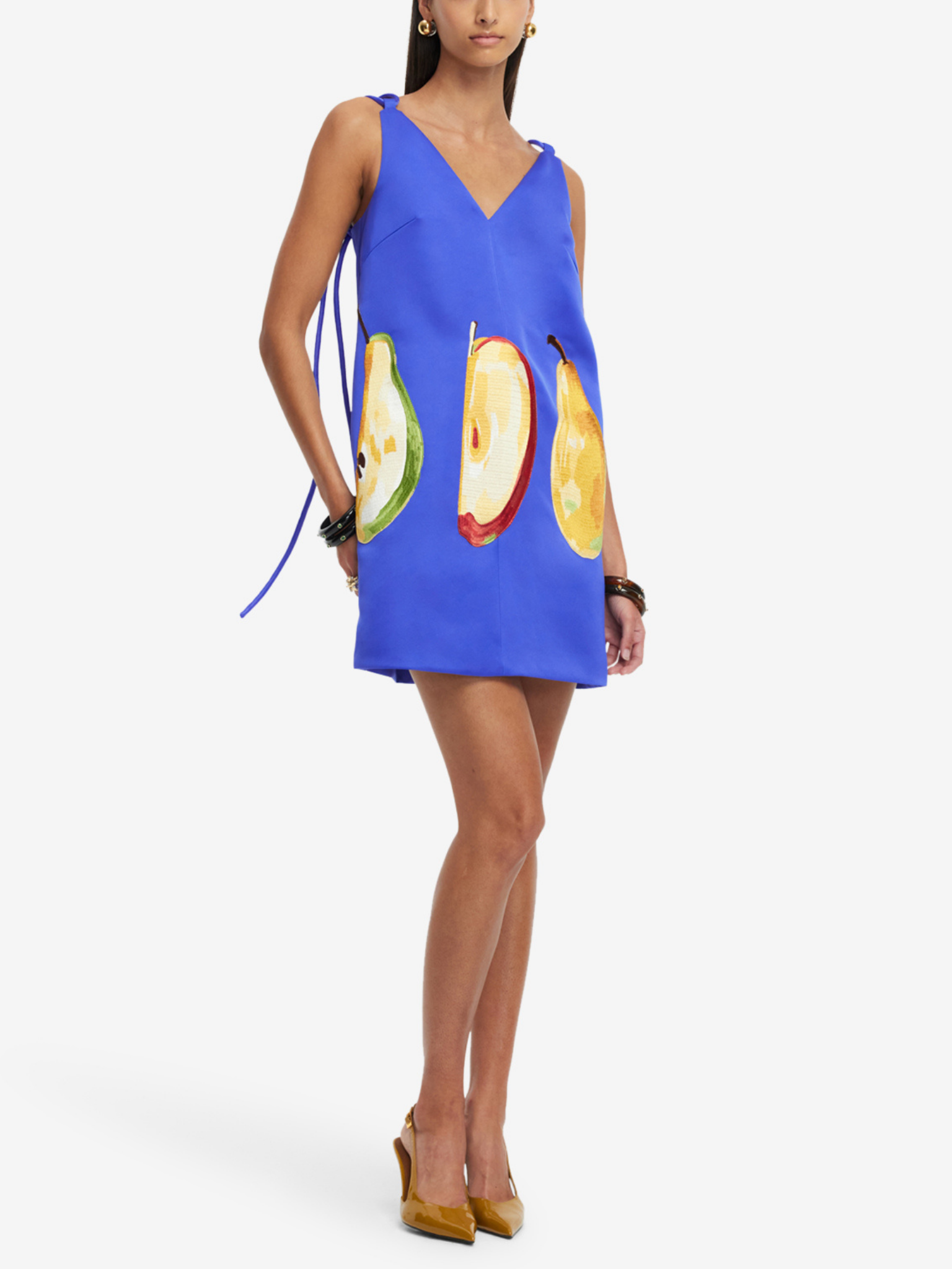 Taylor Embroidered Mini Dress