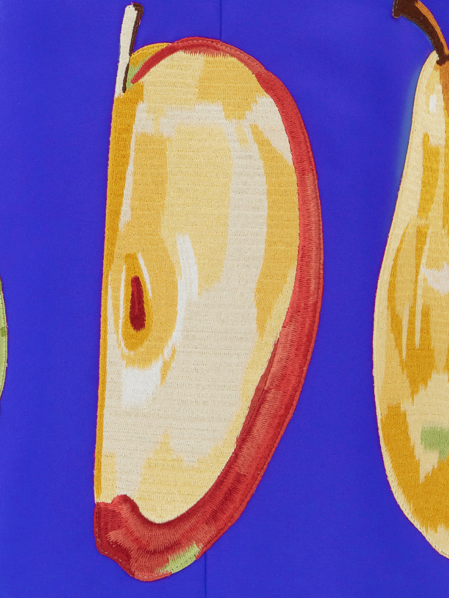 Taylor Embroidered Mini Dress