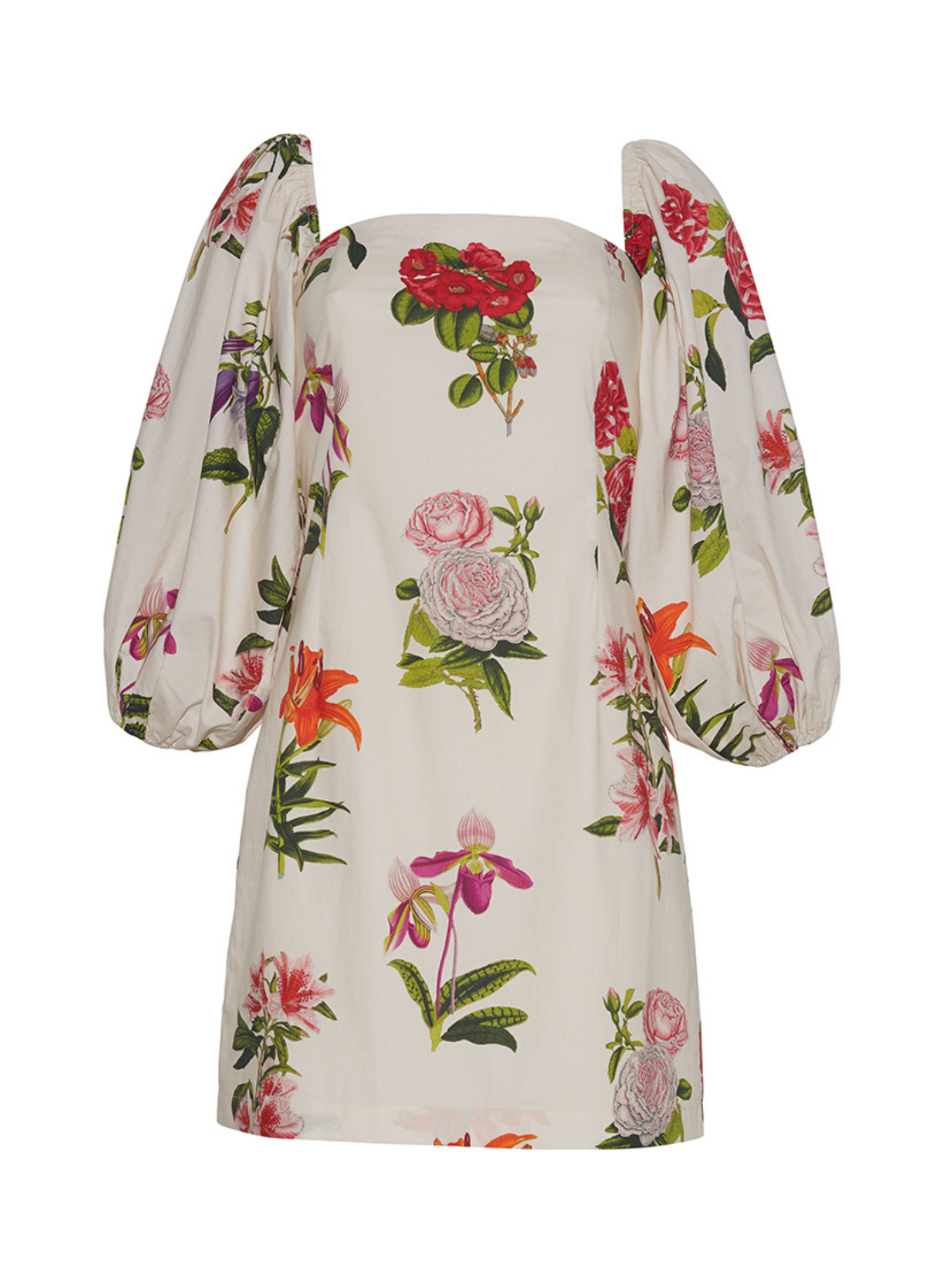 Cara Cara Montauk Dress in Egret Camellia Flora