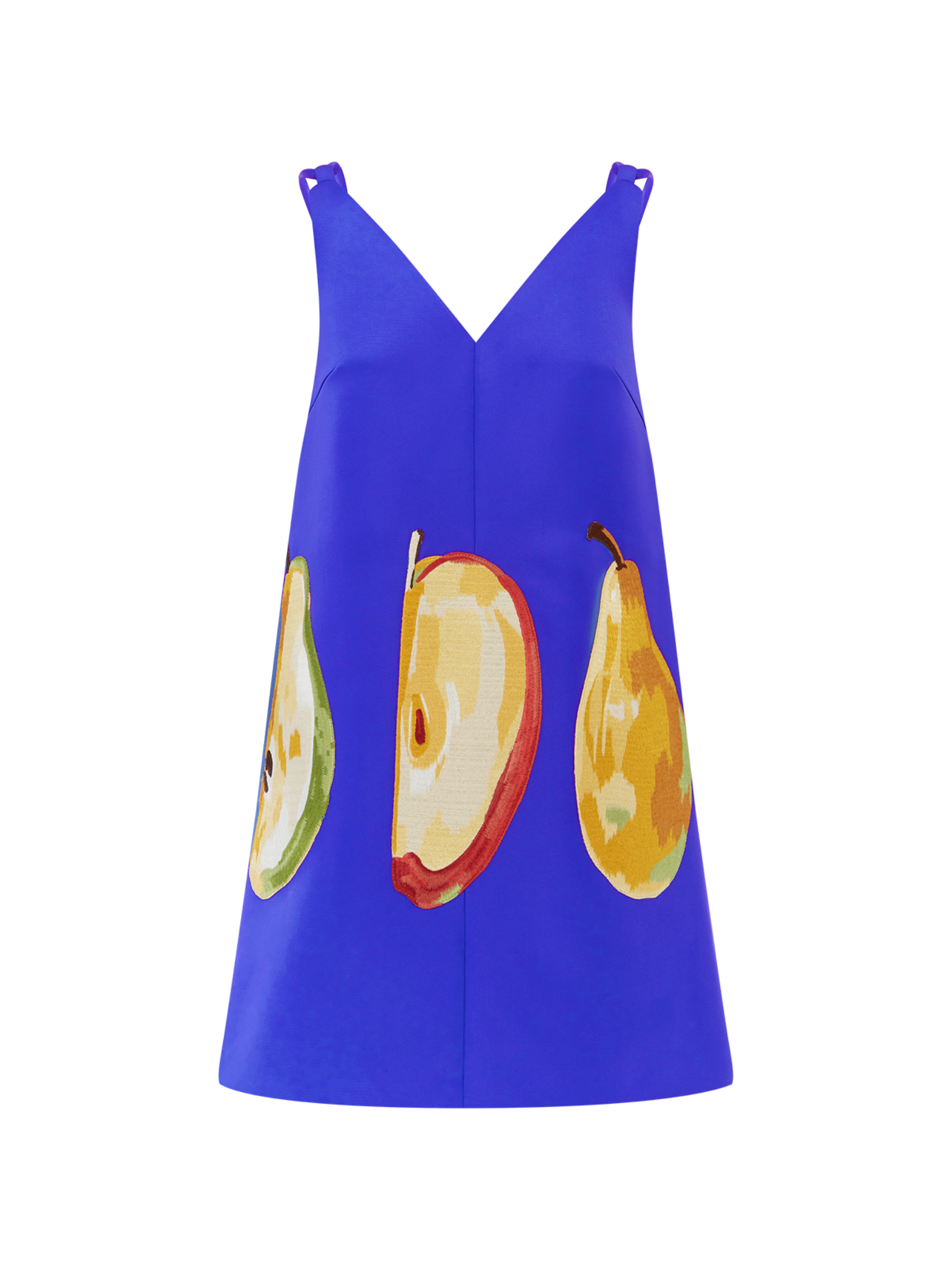 Taylor Embroidered Mini Dress