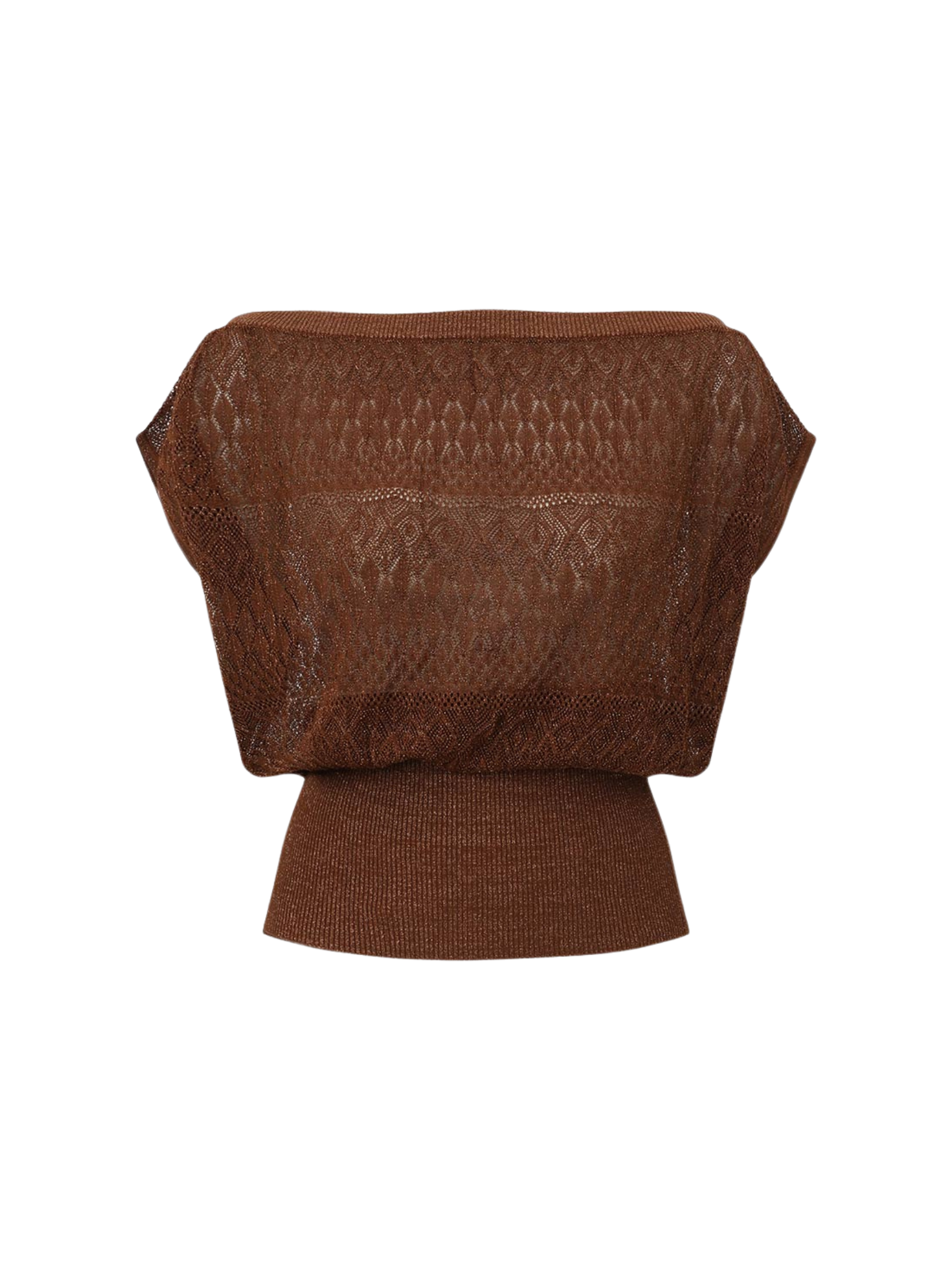 Awaken Metallic Lace Top