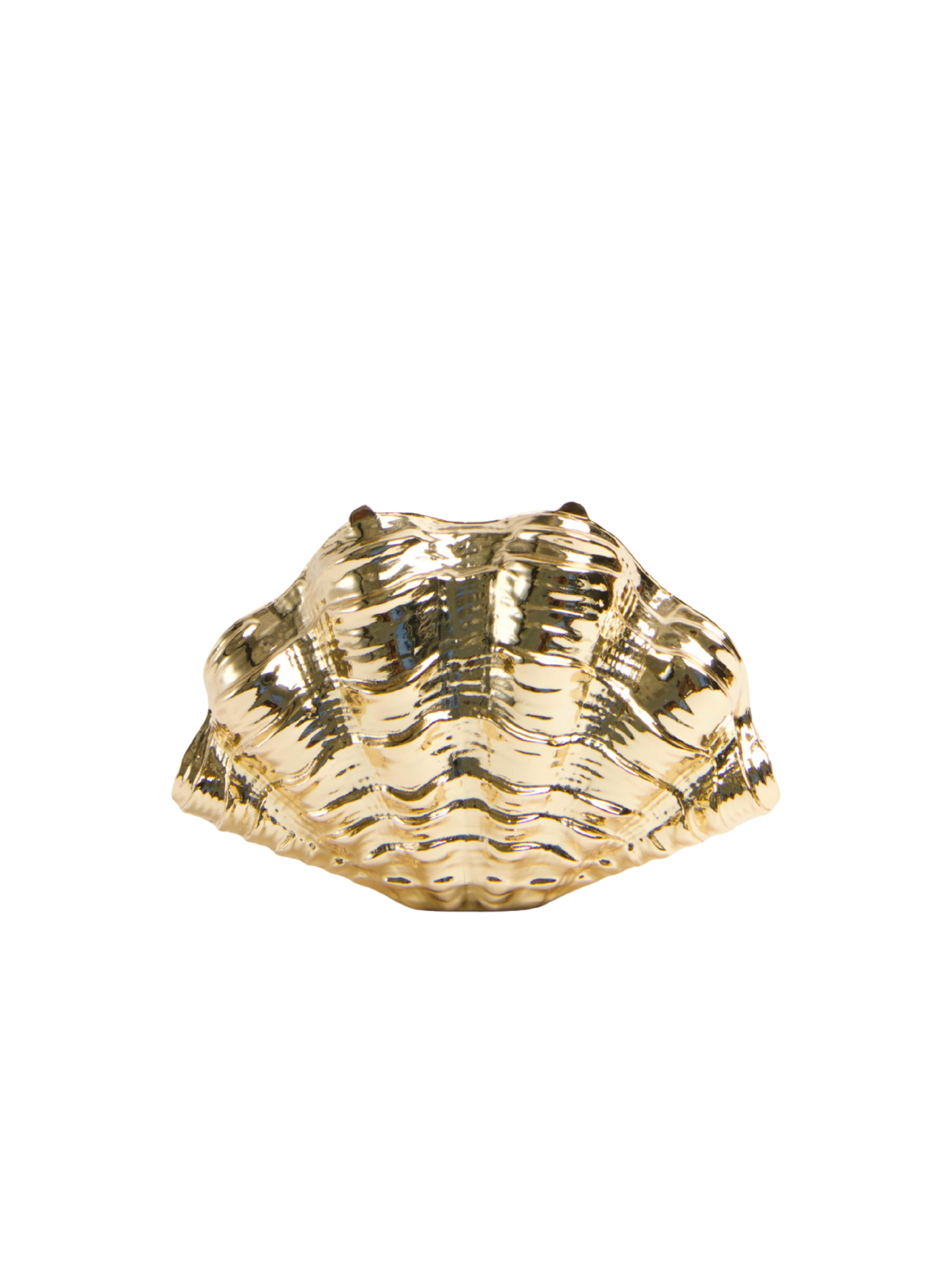 Venus Metal Shell Clutch