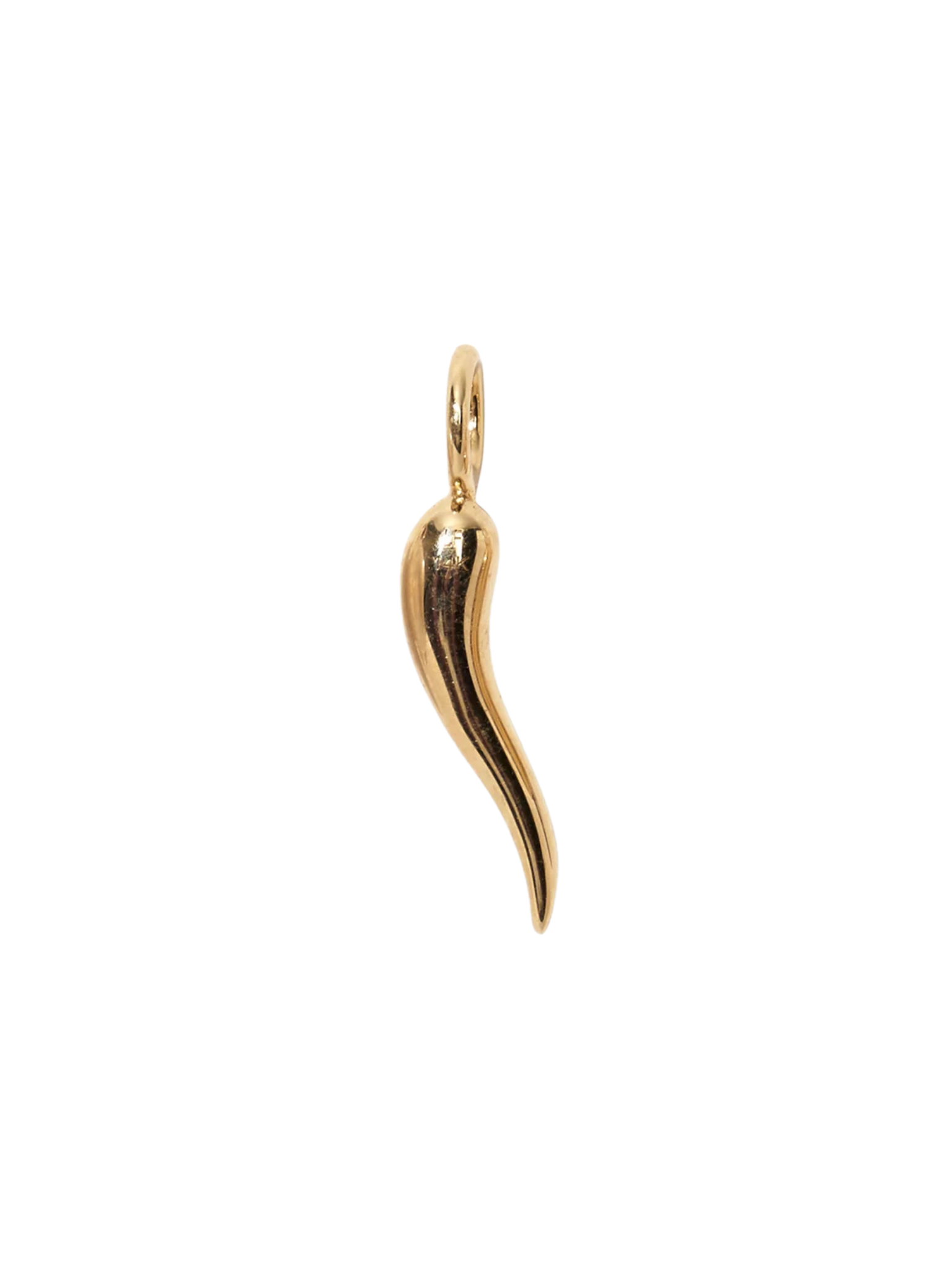 Cornicello 14k Gold Necklace Charm